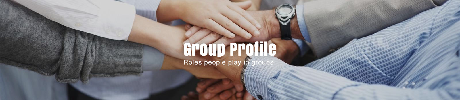 Group Profile